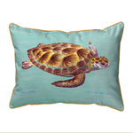 Green Sea Turtle Pillows